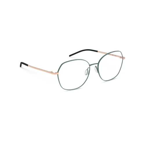 678e072b5039d757305504